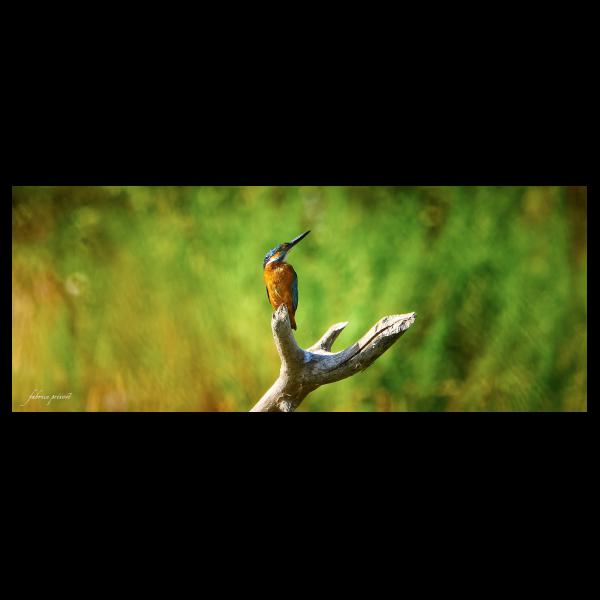 PHOTO84, CLUB, 84 , LUBERON